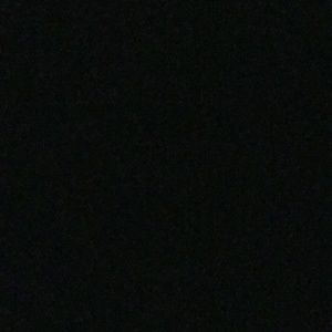 Meet your Posher, Duane